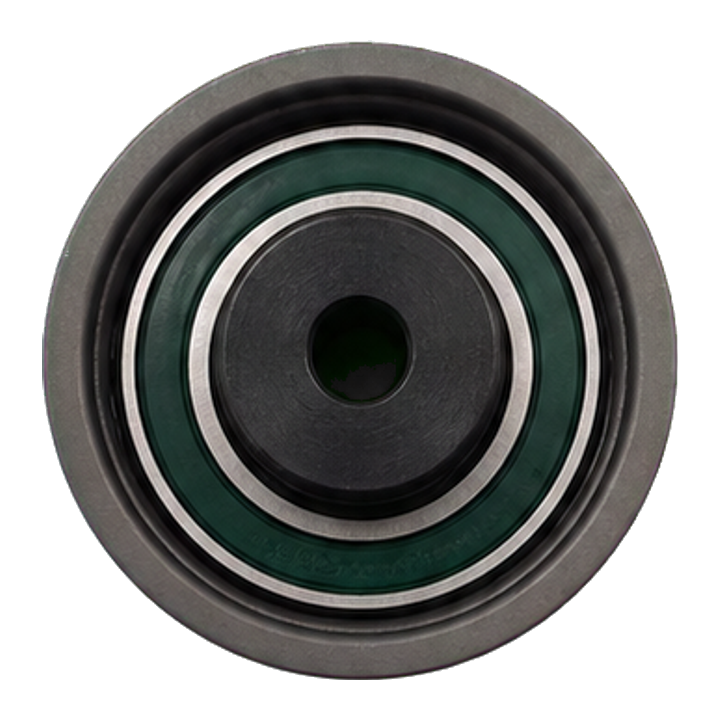 DNK RZX1079