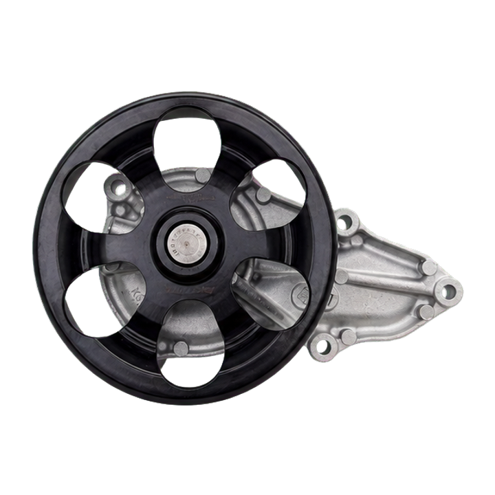 DNK RZX3011